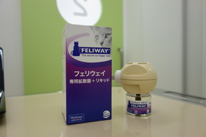 DSC07294.JPG