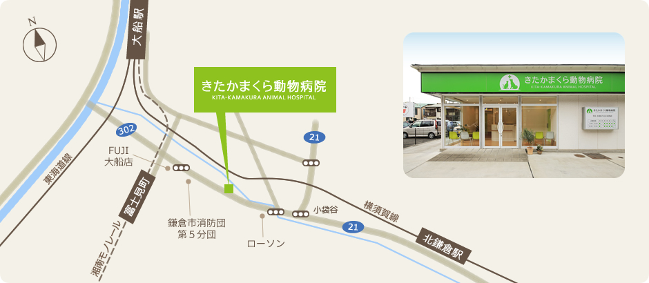 きたかまくら動物病院：地図