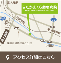 簡易地図：きたかまくら動物病院