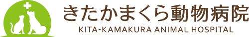 きたかまくら動物病院