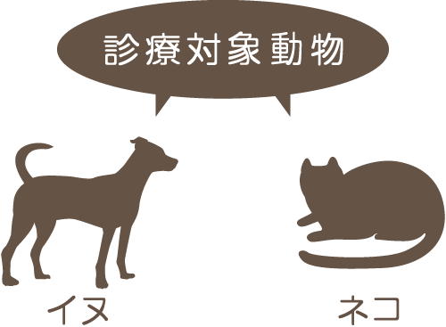診療対象は犬と猫